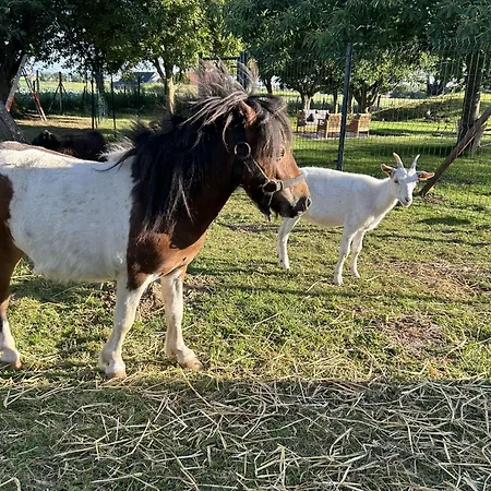 منزل ريفي O Coeur Des Monts Et Merveilles *